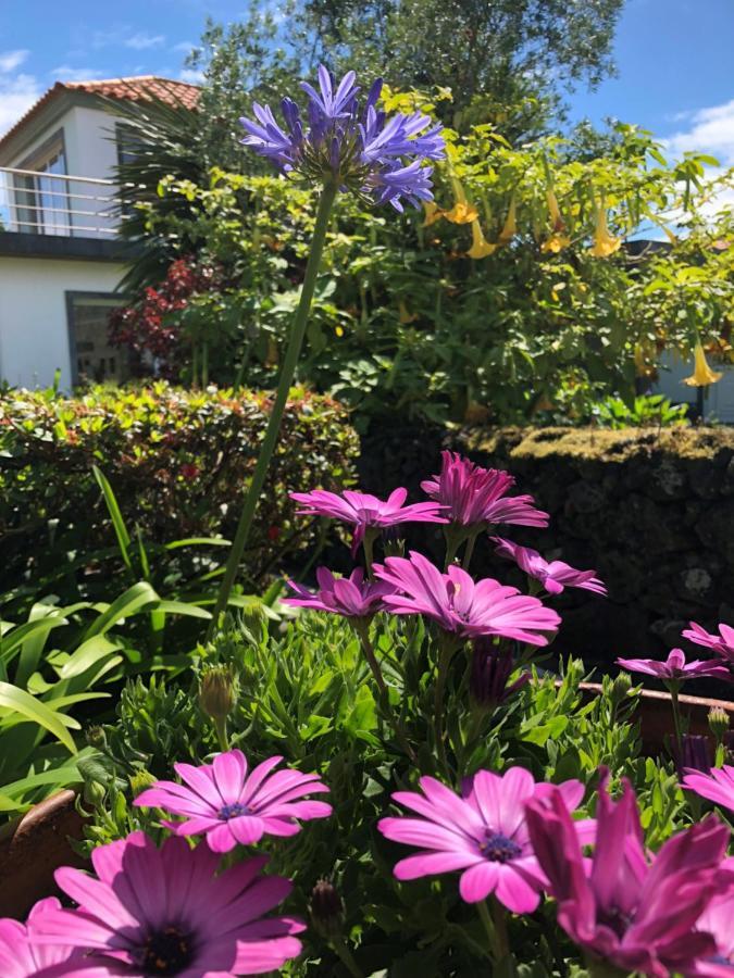 Вилла Quinta Da Bela Vista Понта-Делгада Экстерьер фото